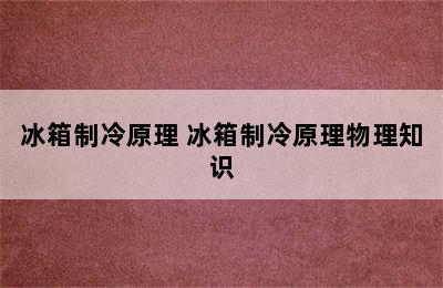 冰箱制冷原理 冰箱制冷原理物理知识